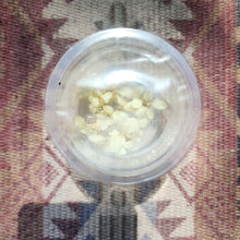 Load image into Gallery viewer, Tissue Culture Anubias White Rose-Aquatic Plants-Glass Grown-Glass Grown Aquatics-Aquarium live fish plants, decor