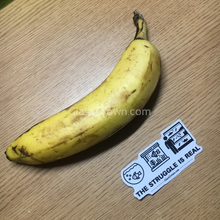 Load image into Gallery viewer, Fish Tank Struggles Decal Sticker-Decorative Stickers-Glass Grown-Glass Grown Aquatics-Aquarium live fish plants, decor