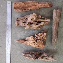 Load image into Gallery viewer, Malaysian Driftwood Medium (7-12")-Aquarium Decor-Glass Grown-Glass Grown Aquatics-Aquarium live fish plants, decor