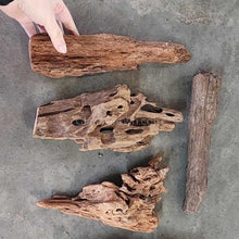 Load image into Gallery viewer, Malaysian Driftwood Medium (7-12")-Aquarium Decor-Glass Grown-Glass Grown Aquatics-Aquarium live fish plants, decor
