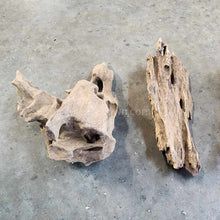 Load image into Gallery viewer, Shrimp Wood-Aquarium Decor-Glass Grown Aquatics-Glass Grown Aquatics-Aquarium live fish plants, decor