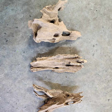 Load image into Gallery viewer, Shrimp Wood-Aquarium Decor-Glass Grown Aquatics-Glass Grown Aquatics-Aquarium live fish plants, decor
