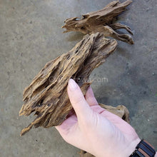 Load image into Gallery viewer, Shrimp Wood-Aquarium Decor-Glass Grown Aquatics-Glass Grown Aquatics-Aquarium live fish plants, decor