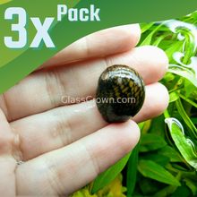 Load image into Gallery viewer, Batik Nerite Snails 3 pack-Live Animals-Glass Grown-Pack of Three Snails-Glass Grown Aquatics-Aquarium live fish plants, decor