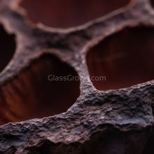 Load image into Gallery viewer, Dried Lotus Pods 3 Pack-Aquarium Decor-Glass Grown Aquatics-Small (Under 3" - 3 Pack)-Glass Grown Aquatics-Aquarium live fish plants, decor