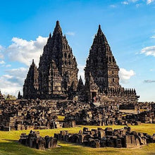 Load image into Gallery viewer, RARE Prambanan Snails 3 Pack-Live Animals-Glass Grown Aquatics-Pack of Three Snails-Glass Grown Aquatics-Aquarium live fish plants, decor