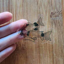 Load image into Gallery viewer, Mystery Nano Fish Stickers 5 pack-Decorative Stickers-Glass Grown-5x-Glass Grown Aquatics-Aquarium live fish plants, decor