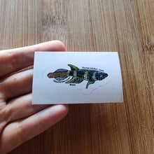 Load image into Gallery viewer, Mystery Nano Fish Stickers 5 pack-Decorative Stickers-Glass Grown-5x-Glass Grown Aquatics-Aquarium live fish plants, decor
