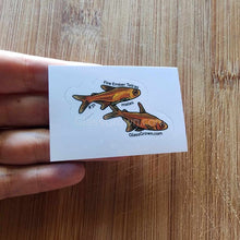 Load image into Gallery viewer, Mystery Nano Fish Stickers 5 pack-Decorative Stickers-Glass Grown-5x-Glass Grown Aquatics-Aquarium live fish plants, decor