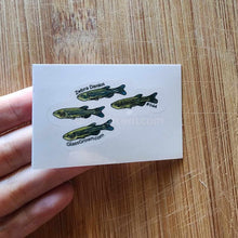 Load image into Gallery viewer, Pick your own nano fish sticker-Decorative Stickers-Glass Grown-Celestial Pearl Danio #026-Glass Grown Aquatics-Aquarium live fish plants, decor