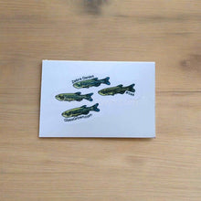 Load image into Gallery viewer, Pick your own nano fish sticker-Decorative Stickers-Glass Grown-Celestial Pearl Danio #026-Glass Grown Aquatics-Aquarium live fish plants, decor