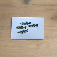 Load image into Gallery viewer, Mystery Nano Fish Stickers 5 pack-Decorative Stickers-Glass Grown-5x-Glass Grown Aquatics-Aquarium live fish plants, decor