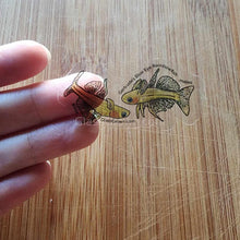 Load image into Gallery viewer, Mystery Nano Fish Stickers 5 pack-Decorative Stickers-Glass Grown-5x-Glass Grown Aquatics-Aquarium live fish plants, decor
