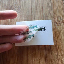 Load image into Gallery viewer, Mystery Nano Fish Stickers 5 pack-Decorative Stickers-Glass Grown-5x-Glass Grown Aquatics-Aquarium live fish plants, decor