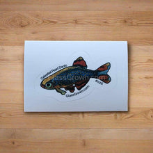 Load image into Gallery viewer, Mystery Nano Fish Stickers 5 pack-Decorative Stickers-Glass Grown-5x-Glass Grown Aquatics-Aquarium live fish plants, decor