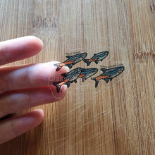 Load image into Gallery viewer, Mystery Nano Fish Stickers 5 pack-Decorative Stickers-Glass Grown-5x-Glass Grown Aquatics-Aquarium live fish plants, decor