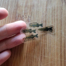 Load image into Gallery viewer, Mystery Nano Fish Stickers 5 pack-Decorative Stickers-Glass Grown-5x-Glass Grown Aquatics-Aquarium live fish plants, decor