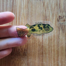 Load image into Gallery viewer, Mystery Nano Fish Stickers 5 pack-Decorative Stickers-Glass Grown-5x-Glass Grown Aquatics-Aquarium live fish plants, decor