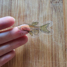 Load image into Gallery viewer, Pick your own nano fish sticker-Decorative Stickers-Glass Grown-Celestial Pearl Danio #026-Glass Grown Aquatics-Aquarium live fish plants, decor