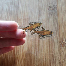 Load image into Gallery viewer, Mystery Nano Fish Stickers 5 pack-Decorative Stickers-Glass Grown-5x-Glass Grown Aquatics-Aquarium live fish plants, decor