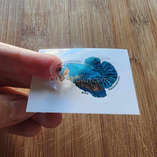 Load image into Gallery viewer, Pick your own nano fish sticker-Decorative Stickers-Glass Grown-Celestial Pearl Danio #026-Glass Grown Aquatics-Aquarium live fish plants, decor