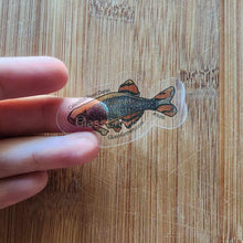 Load image into Gallery viewer, Mystery Nano Fish Stickers 5 pack-Decorative Stickers-Glass Grown-5x-Glass Grown Aquatics-Aquarium live fish plants, decor