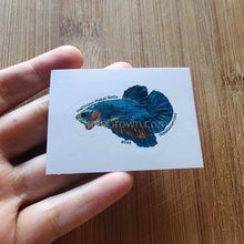 Load image into Gallery viewer, Mystery Nano Fish Stickers 5 pack-Decorative Stickers-Glass Grown-5x-Glass Grown Aquatics-Aquarium live fish plants, decor