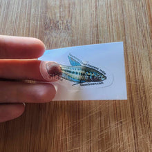Load image into Gallery viewer, Pick your own nano fish sticker-Decorative Stickers-Glass Grown-Celestial Pearl Danio #026-Glass Grown Aquatics-Aquarium live fish plants, decor