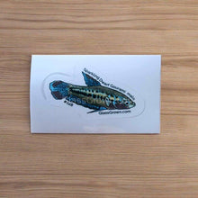 Load image into Gallery viewer, Pick your own nano fish sticker-Decorative Stickers-Glass Grown-Celestial Pearl Danio #026-Glass Grown Aquatics-Aquarium live fish plants, decor