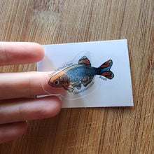 Load image into Gallery viewer, Pick your own nano fish sticker-Decorative Stickers-Glass Grown-Celestial Pearl Danio #026-Glass Grown Aquatics-Aquarium live fish plants, decor