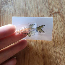 Load image into Gallery viewer, Pick your own nano fish sticker-Decorative Stickers-Glass Grown-Celestial Pearl Danio #026-Glass Grown Aquatics-Aquarium live fish plants, decor