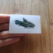 Load image into Gallery viewer, Pick your own nano fish sticker-Decorative Stickers-Glass Grown-Celestial Pearl Danio #026-Glass Grown Aquatics-Aquarium live fish plants, decor