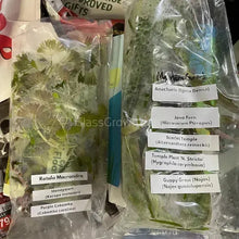 Load image into Gallery viewer, Beginner Aquarium Plants Pack 10x Tiny Trimmings - Grower’s Choice Freshwater Starter Bundle-Aquatic Plants-Glass Grown-Ten Species Pack-No Thanks!-Glass Grown Aquatics-Aquarium live fish plants, decor