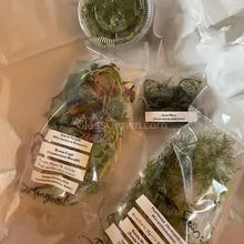 Load image into Gallery viewer, Beginner Aquarium Plants Pack 10x Tiny Trimmings - Grower’s Choice Freshwater Starter Bundle-Aquatic Plants-Glass Grown-Ten Species Pack-No Thanks!-Glass Grown Aquatics-Aquarium live fish plants, decor