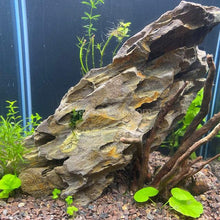 Load image into Gallery viewer, Grower's Choice 10 Tiny Plant Sampler Pack-Aquatic Plants-Glass Grown-Ten Species Pack-No Thanks!-Glass Grown Aquatics-Aquarium live fish plants, decor