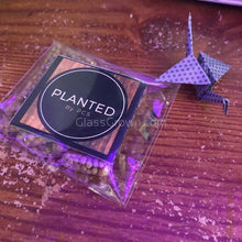 Load image into Gallery viewer, Aquarium Root Fertilizer Tabs-Aquatic Plant Fertilizers-Glass Grown-Ten Root Tabs-Glass Grown Aquatics-Aquarium live fish plants, decor