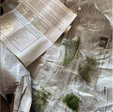 Load image into Gallery viewer, Grower's Choice 10 Tiny Plant Sampler Pack-Aquatic Plants-Glass Grown-Ten Species Pack-No Thanks!-Glass Grown Aquatics-Aquarium live fish plants, decor