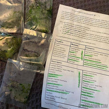 Load image into Gallery viewer, Grower's Choice 10 Tiny Plant Sampler Pack-Aquatic Plants-Glass Grown-Ten Species Pack-No Thanks!-Glass Grown Aquatics-Aquarium live fish plants, decor