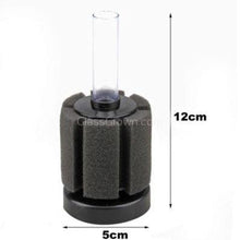 Load image into Gallery viewer, Nano Sponge Filter 2"-Aquarium Filters-Glass Grown Aquatics-Glass Grown Aquatics-Aquarium live fish plants, decor