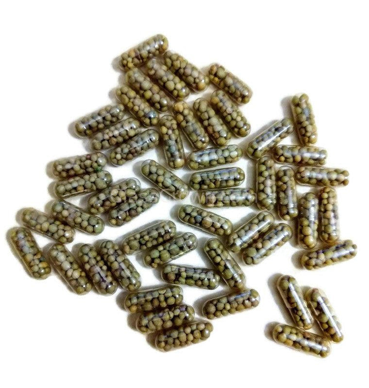 aquarium plant fertilizer tabs Aquarium Root Fertilizer Tabs – Shrimp Safe