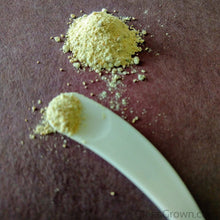 Load image into Gallery viewer, Colony Shrimp Grower Powdered Food Supplement-Fish Food-Glass Grown-6 Grams-Glass Grown Aquatics-Aquarium live fish plants, decor