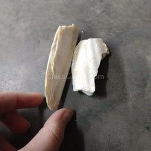 Load image into Gallery viewer, Cuttlebone by Weight-Aquarium Decor-Glass Grown-4 Grams-Glass Grown Aquatics-Aquarium live fish plants, decor