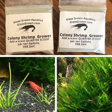 Load image into Gallery viewer, Dwarf Shrimp Mega Starter Pack-Live Animals-Glass Grown-Red Cherry-Glass Grown Aquatics-Aquarium live fish plants, decor