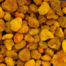 Load image into Gallery viewer, Dwarf Shrimp Mega Starter Pack-Live Animals-Glass Grown-Red Cherry-Glass Grown Aquatics-Aquarium live fish plants, decor