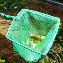 Load image into Gallery viewer, Green Mesh Net 12"-Aquarium Fish Nets-Glass Grown Aquatics-Glass Grown Aquatics-Aquarium live fish plants, decor
