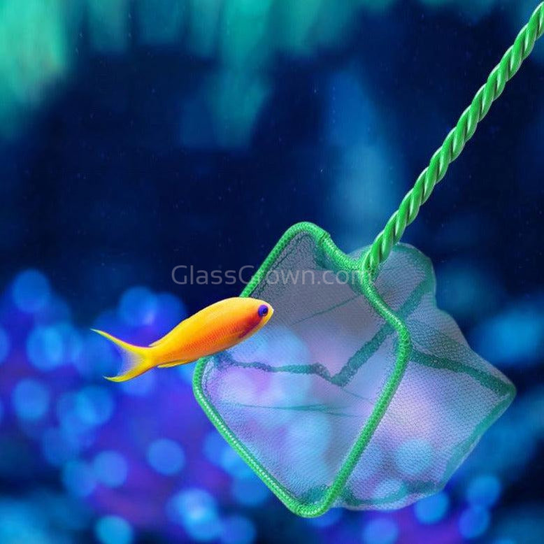 Green Mesh Net 12" Glass Grown Aquatics Green Mesh Net 12" Glass Grown Aquatics