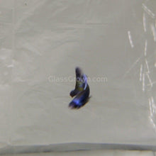 Load image into Gallery viewer, Male Purple Moscow Guppy-Live Animals-Glass Grown-Single Male-Glass Grown Aquatics-Aquarium live fish plants, decor
