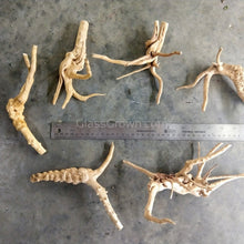 Load image into Gallery viewer, Spiderwood Driftwood Medium (6-10")-Aquarium Decor-Glass Grown-Glass Grown Aquatics-Aquarium live fish plants, decor