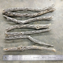Load image into Gallery viewer, Organic Cholla Wood Logs-Aquarium Decor-Glass Grown-4"+-Glass Grown Aquatics-Aquarium live fish plants, decor