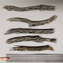 Load image into Gallery viewer, Organic Cholla Wood Logs-Aquarium Decor-Glass Grown-4"+-Glass Grown Aquatics-Aquarium live fish plants, decor